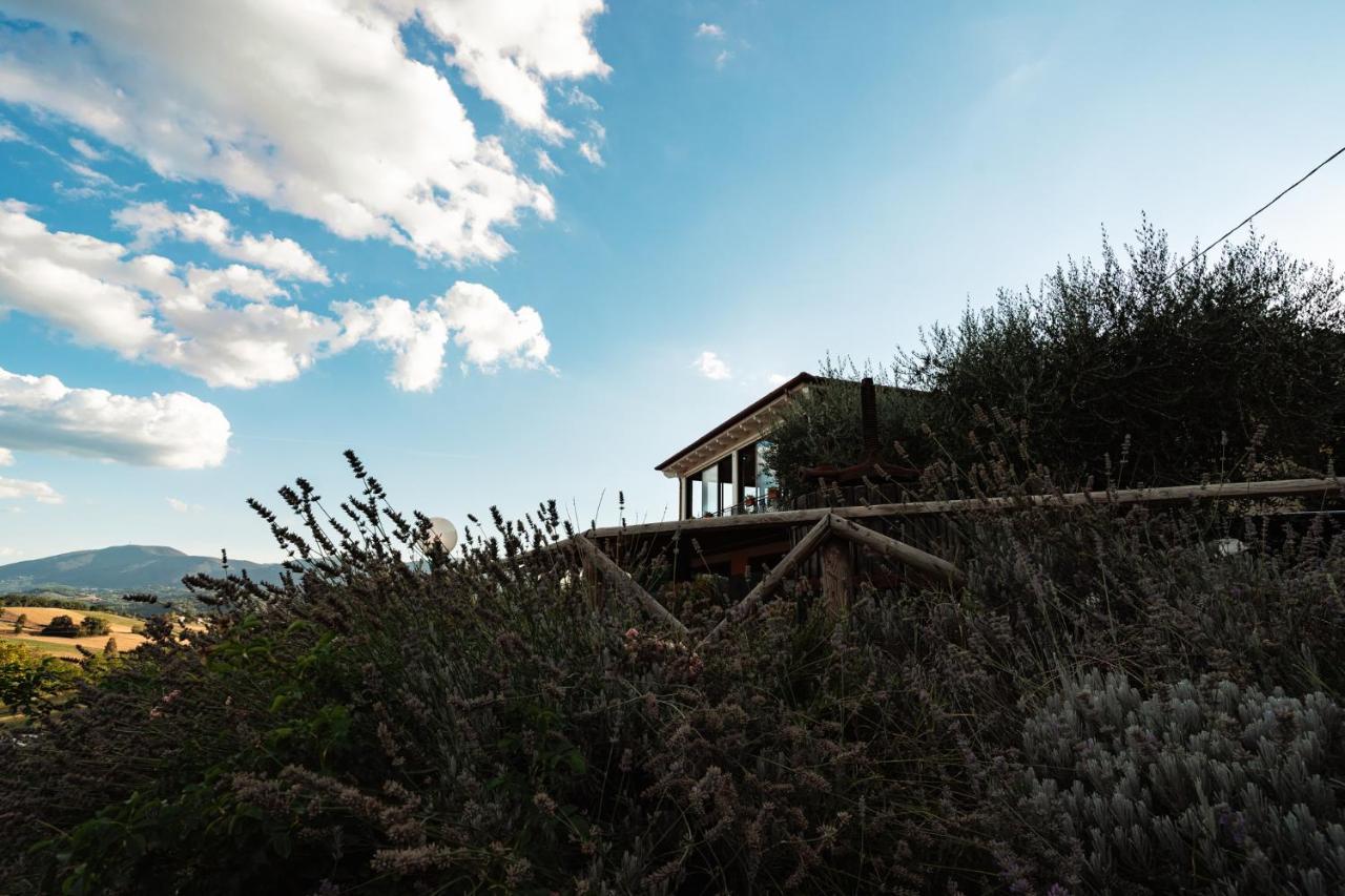 Il Pozzo Country House Collescipoli Exterior photo