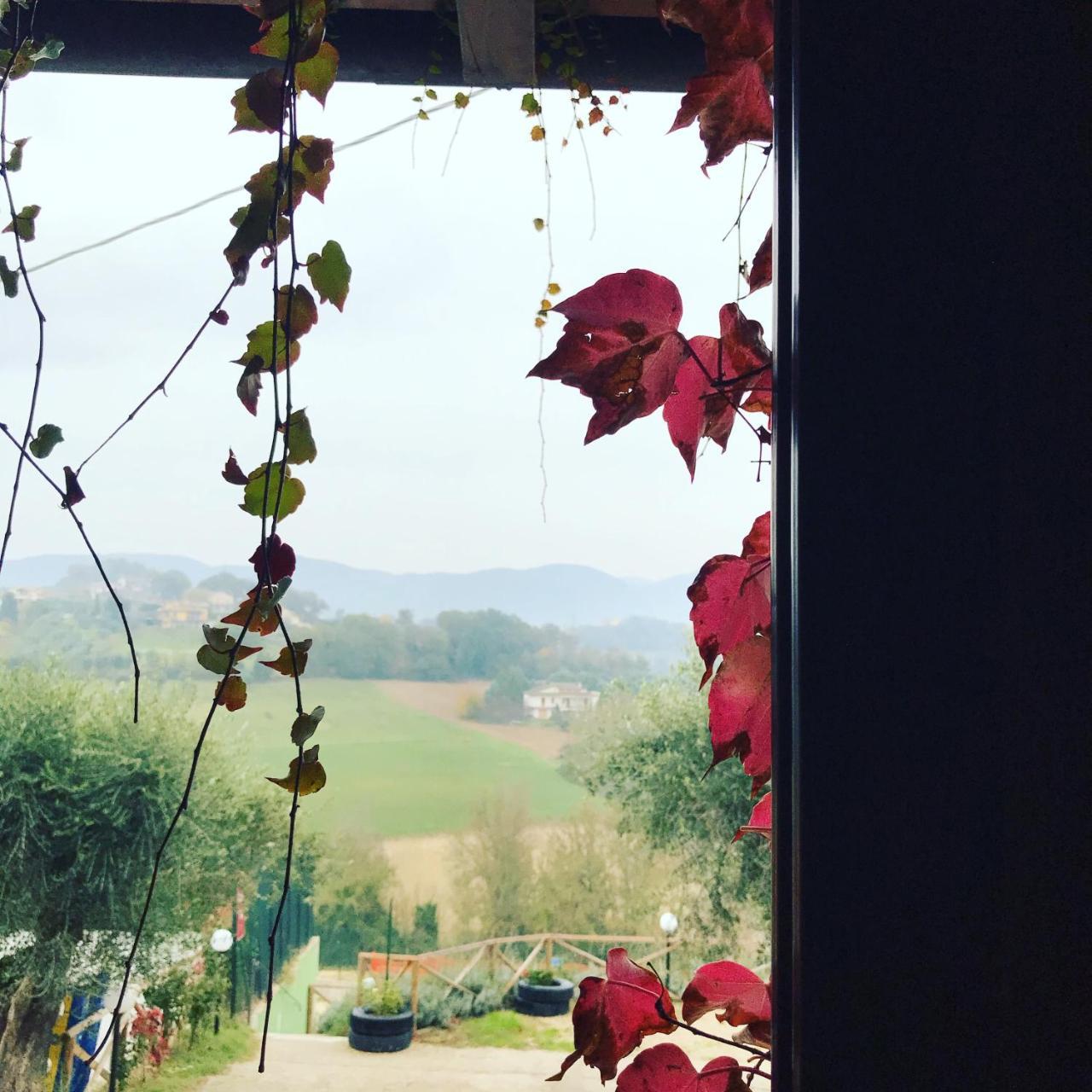 Il Pozzo Country House Collescipoli Exterior photo