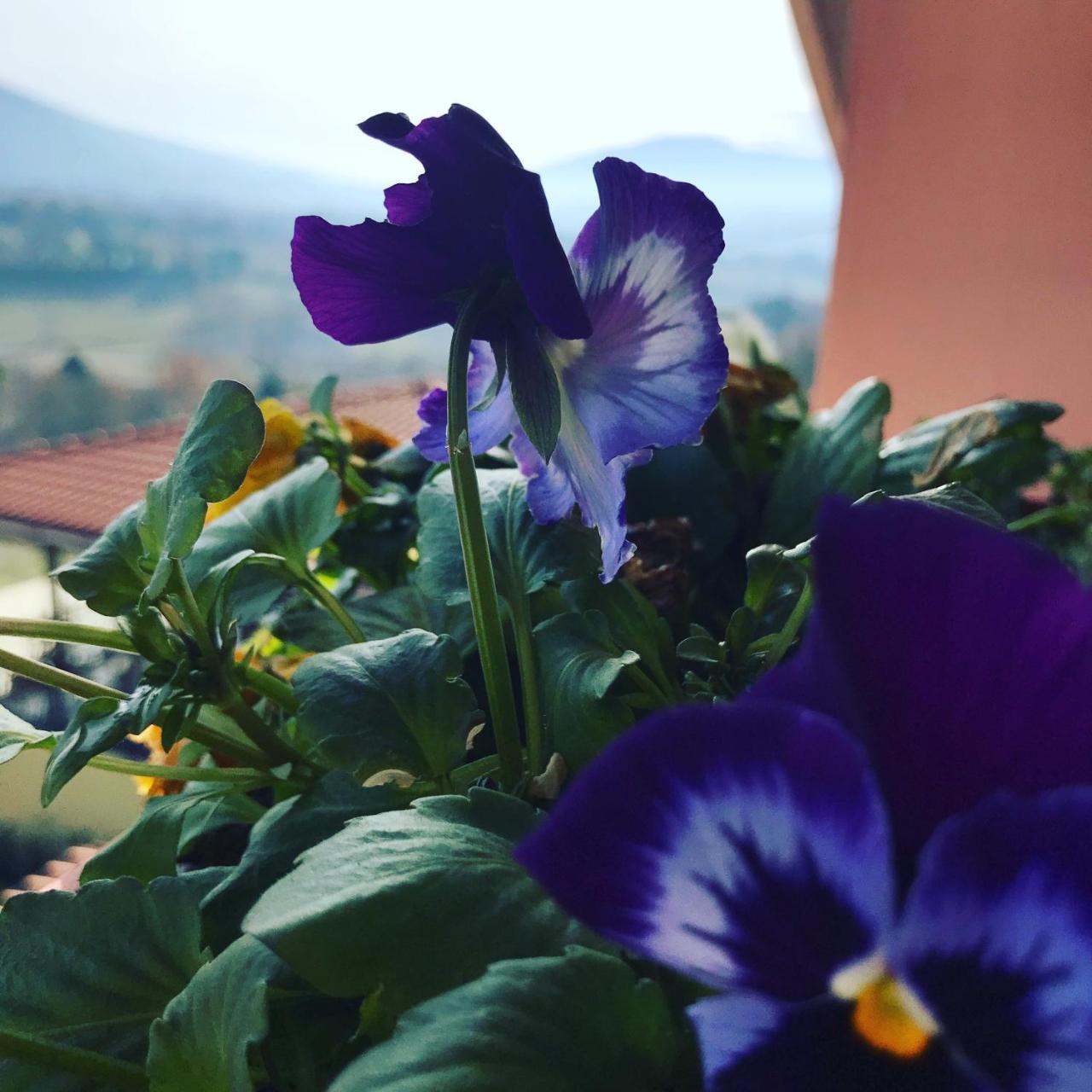 Il Pozzo Country House Collescipoli Exterior photo